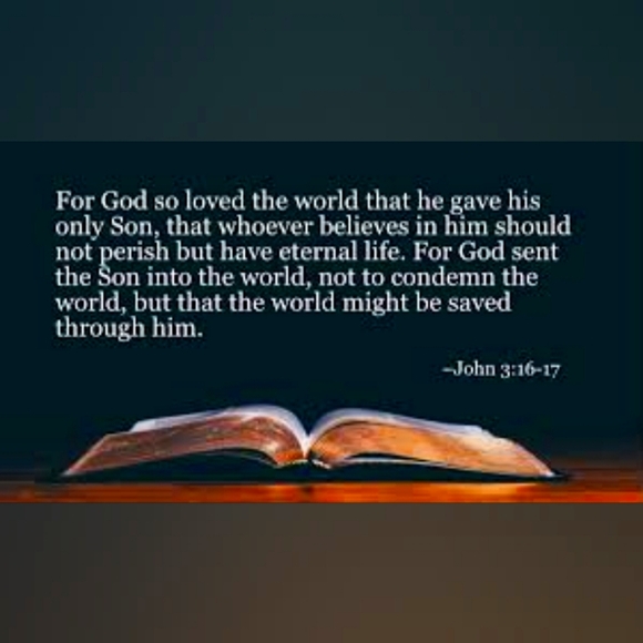 Meet your Posher, Alyse - Picture 1 of 16